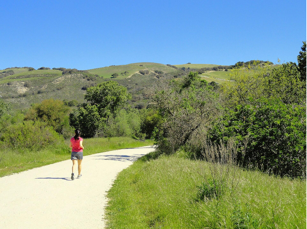 A person jogging on a scenic trail in sunny Carmel Valley.